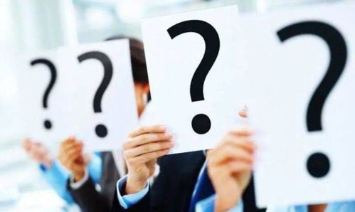 背景调查前你必须要做的31件事